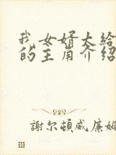 我女婿太给力了的主角介绍