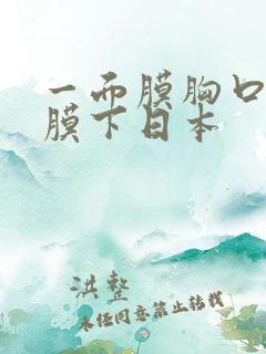 一面膜胸口一面膜下日本