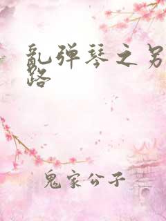 乱弹琴之另一条路