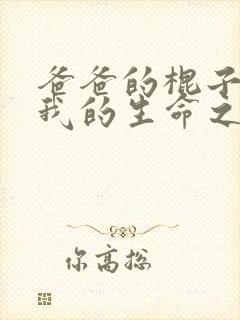 爸爸的棍子顶着我的生命之门