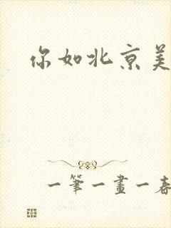 你如北京美丽