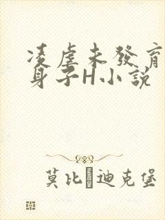 凌虐未发育的小身子H小说