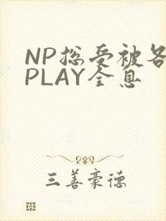NP总受被各种PLAY全息