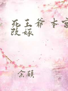 死王爷 本宫已改嫁