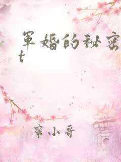 军婚的秘密txt