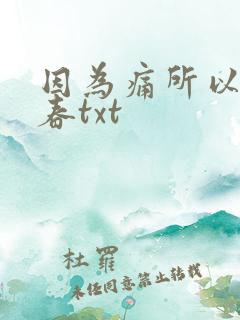 因为痛所以叫青春txt