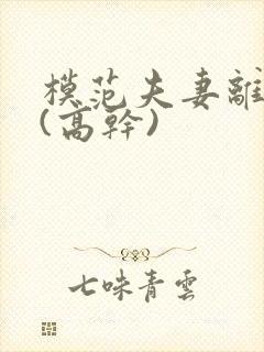 模范夫妻离婚了(高干)