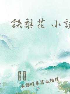 铁梨花 小说