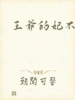 王爷的妃不是妃