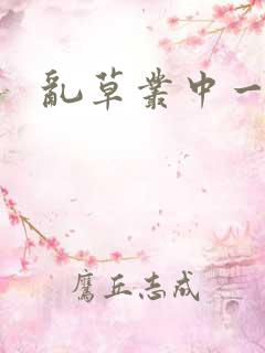 乱草丛中一杆枪