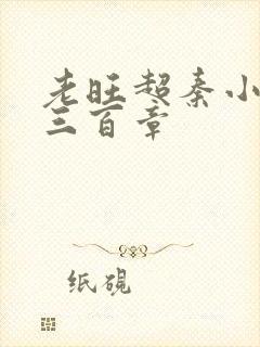 老旺超秦小雨第三百章