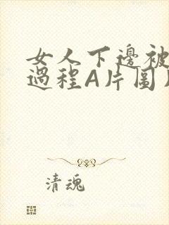 女人下边被添全过程A片图片小说