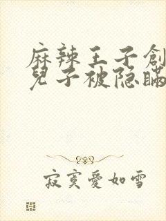 麻辣王子创始人儿子被隐瞒家产