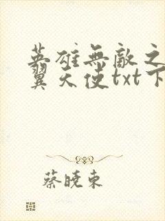 英雄无敌之十二翼天使txt下载