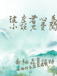 彼岸君心为我倾小说免费阅读