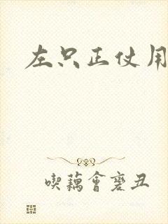 左只正仗用