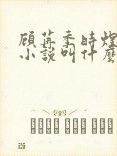 顾苒季时煜电竞小说叫什么名字