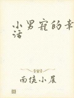 小男宠的幸福生活