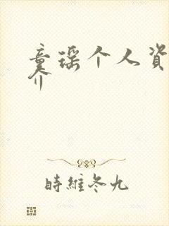 童瑶个人资料简介