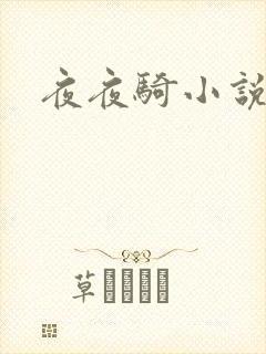 夜夜骑小说