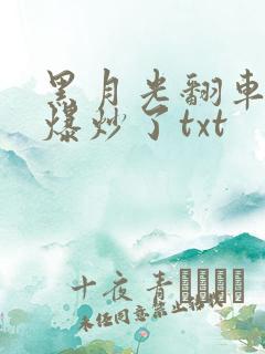 黑月光翻车后被爆炒了txt