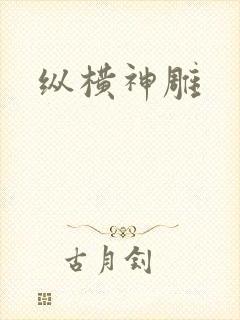 纵横神雕