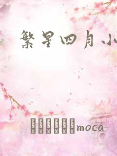 繁星四月小说