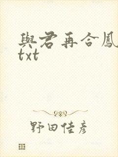 与君再合凤求凰txt