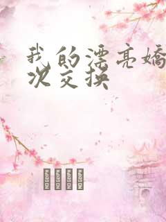 我的漂亮娇妻初次交换