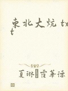 东北大炕 txt