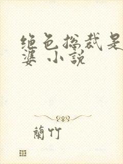 绝色总裁是我老婆 小说