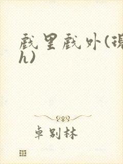 戏里戏外(现场h)