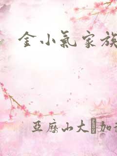 金小气家族小说