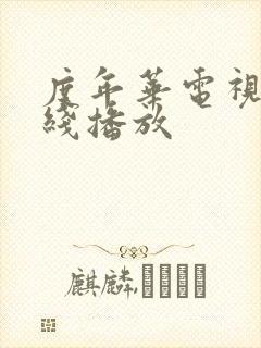 度年华电视剧在线播放