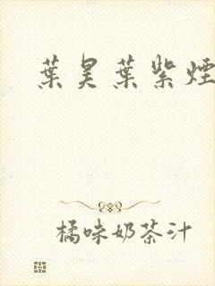 叶昊叶紫烟小说