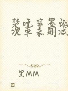 楚晚宁墨燃第一次车未删减