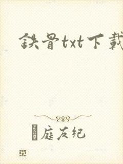 铁骨txt下载