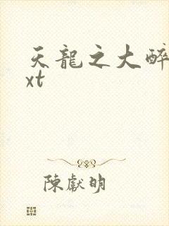 天龙之大醉侠txt