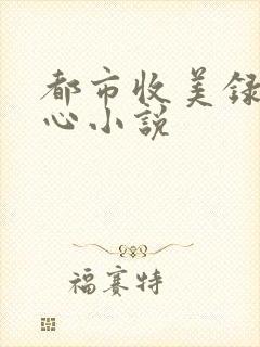 都市收美录宁素心小说