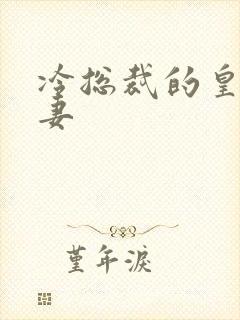 冷总裁的皇后暖妻