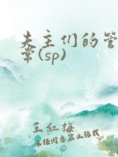 夫主们的管教日常(sp)