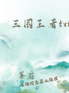 三国王者txt