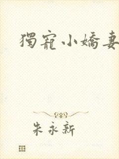 独宠小娇妻