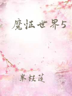 魔怔世界5