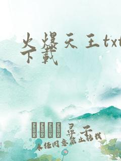 火爆天王txt下载