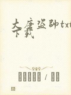 大唐盗帅txt下载