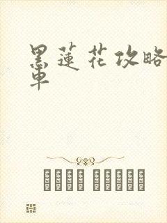 黑莲花攻略手册车