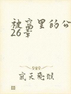 被窝里的公憩第26章