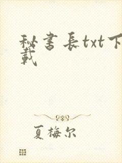 秘书长txt下载