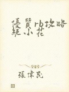 优质rb攻略系统小花